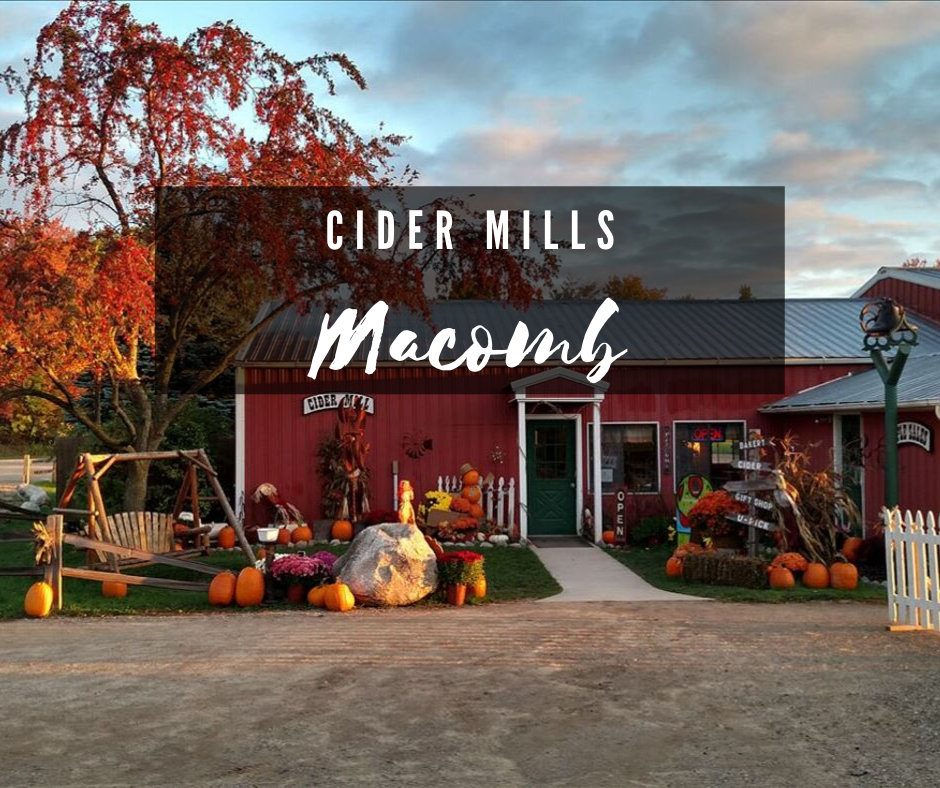 13 Cider Mills and Orchards Around